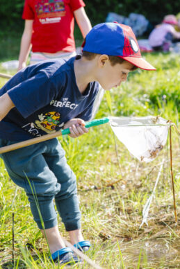 Ein Bub schaut in einen Kescher